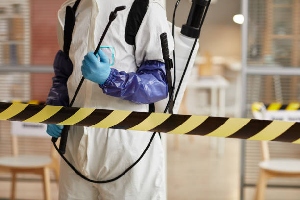Professional Sewage Cleanup technician working in Francis Creek, WI
